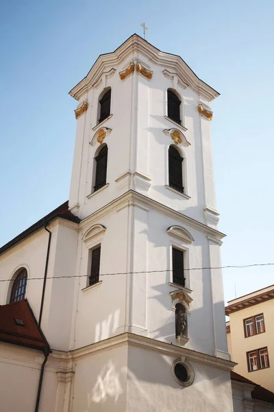 Kerk Van Hemelvaart Maagd Maria Brno Tsjechische Republiek — Stockfoto