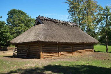 Biskupin 'de tarihi yerleşim yeri. Polonya