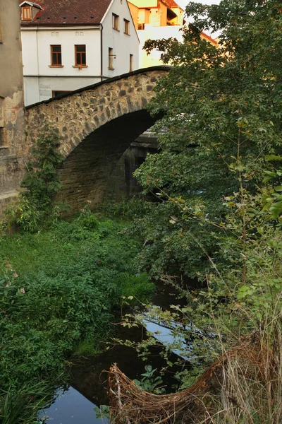 Ponte Das Ovelhas Ovci Mais Decin República Checa — Fotografia de Stock