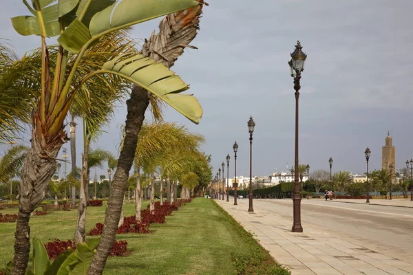 Avenue Bab Soufara Rabat Marruecos — Foto de Stock