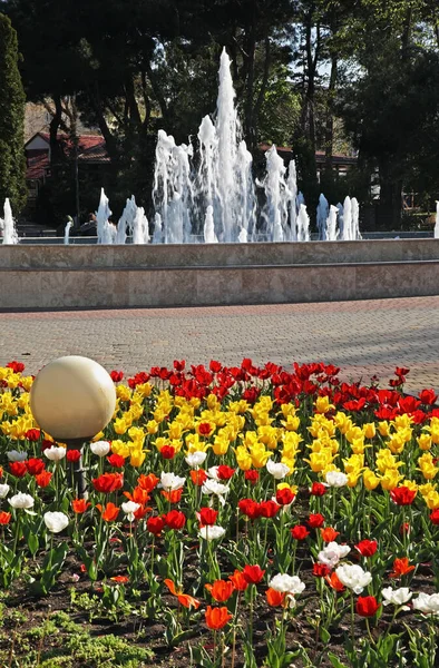 Central Park Anapa Krasnodar Krai Ryssland — Stockfoto