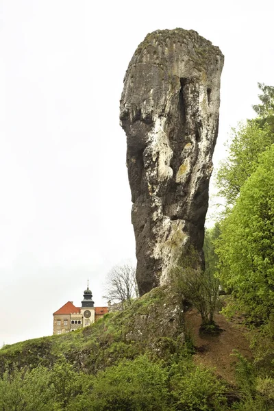 Die Burg Pieskowa Skala Kleiner Hundefelsen Und Die Monadnock Maczuga — Stockfoto