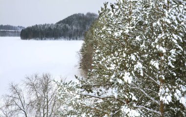 Maselga köyü yakınlarındaki manzara. Kargopol bölgesi. Arkhangelsk Oblastı. Rusya