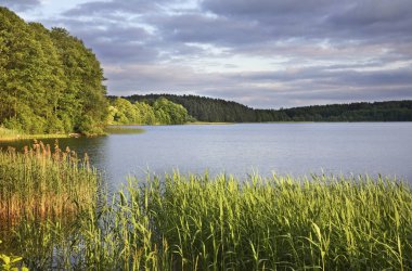 Akmena Gölü manzarası. Litvanya