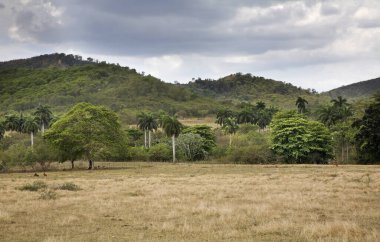 Trinidad yakınlarındaki manzara. Küba