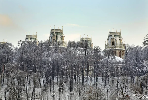 Wielki Pałac Caritsyno Moskwa Rosja — Zdjęcie stockowe