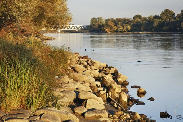 Modlin 'deki Narew Nehri. Şimdi Dwor Mazowiecki. Polonya