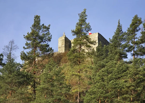 Ruines Château Muszyna Voïvodie Petite Pologne Pologne — Photo