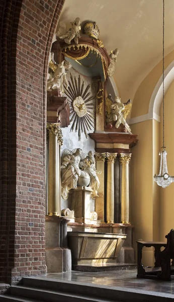 Cattedrale Dei Santi Pietro Paolo Poznan Polonia — Foto Stock