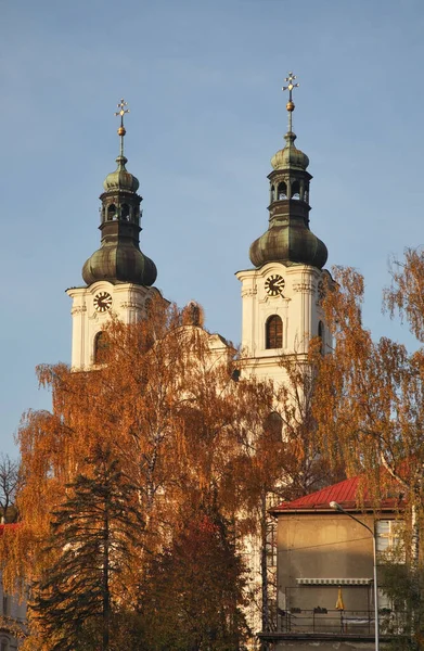 Pelgrimskathedraal Van Maagd Maria Frydek Mistek Tsjechische Republiek — Stockfoto