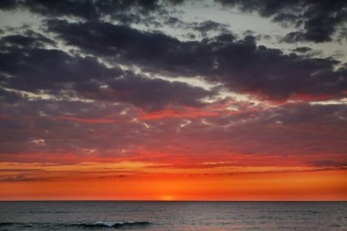 Zelenogradsk 'ta Baltık Denizi. Rusya