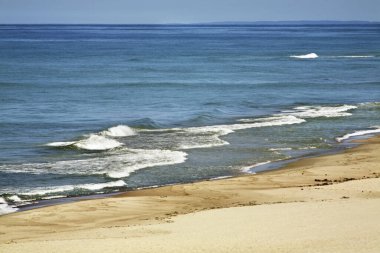 Curonian Spit 'in manzarası. Kaliningrad Oblastı. Rusya