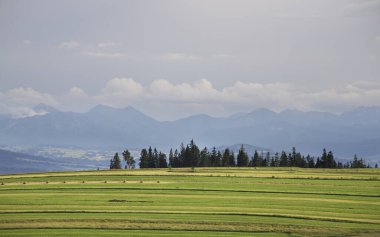 Bialy Dunajec yakınlarındaki manzara. Polonya