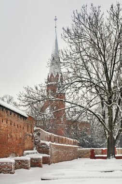 Torun 'un manzarası. Polonya