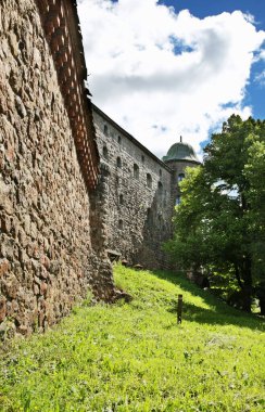 Vyborg kalesinin manzarası. Rusya