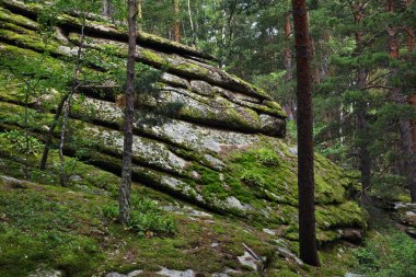 Karkaralinsk yakınlarındaki Ulusal Park Karkaraly 'de. Karaganda Oblastı. Kazakistan