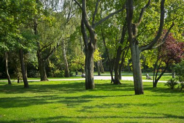 Sopot 'taki Park Polnocny (Kuzey Parkı). Polonya