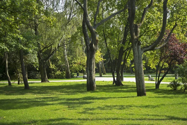 Park Polnocny Nordpark Sopot Polen — Stockfoto