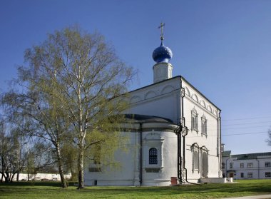 Ryazan Kremlin 'deki Dönüşüm Katedrali. Rusya