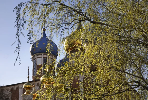 Catedral Assunção Ryazan Kremlin Rússia — Fotografia de Stock
