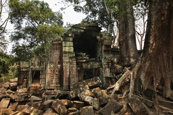 Świątynia Prohm Angkor Prowincja Siem Reap Kambodża — Zdjęcie stockowe