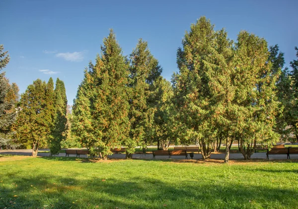 Parque Montaña Pokrovskaya Bryansk Rusia — Foto de Stock