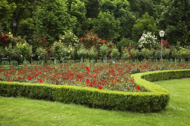 Volksgarten - Viyana Halk Bahçesi. Avusturya