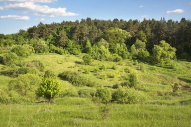 Yelets yakınlarındaki manzara. Lipetsk bölgesi. Rusya