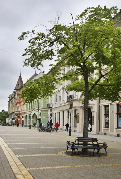 Korzo Pedestrian Street Subotica Serbia — Stock Photo, Image