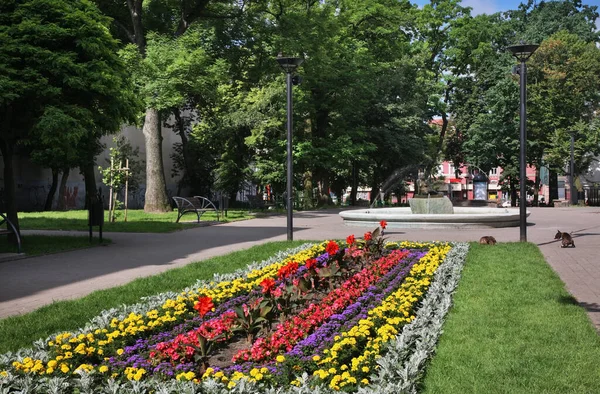 Lodz Daki Arthur Rubinstein Sokağı Polonya — Stok fotoğraf