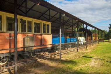 Kukushka (Cuckoo) - Pereslavl-Zalessky yakınlarındaki Talitsy köyündeki Pereslavl demiryolu müzesi. Rusya