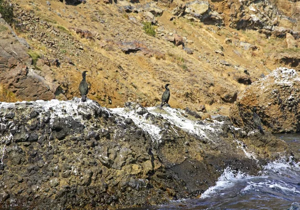 Kara Dag Mountain Μαύρο Όρος Κοντά Στο Koktebel Ουκρανία — Φωτογραφία Αρχείου