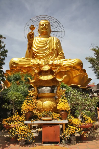 Sitzender Buddha Tempel Dalat Vietnam — Stockfoto