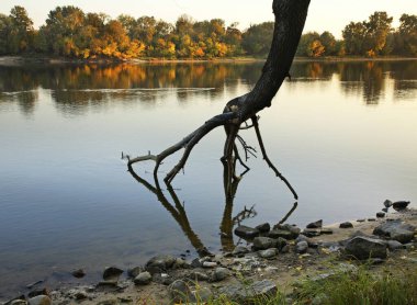 Modlin 'deki Narew Nehri. Şimdi Dwor Mazowiecki. Polonya