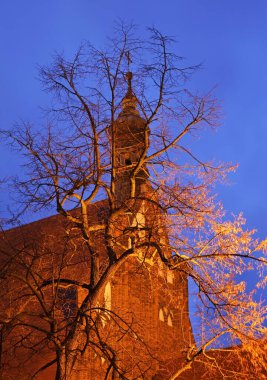 Bydgoszcz 'deki St. Martin ve Nicholas Kilisesi. Polonya