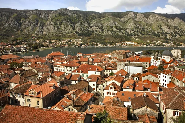 Vue Panoramique Kotor Monténégro — Photo