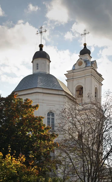 Kerk Van Sint Petrus Paulus Tarusa Rusland — Stockfoto