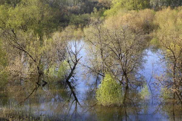 Krajina Ryazanu Rusko — Stock fotografie