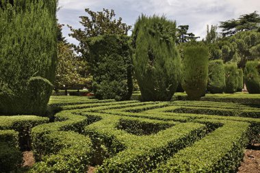 Madrid 'deki Sabatini Bahçeleri. İspanya
