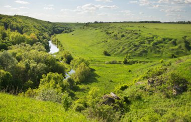 Vorgolsky Yelets yakınlarında kayalık. Lipetsk bölgesi. Rusya