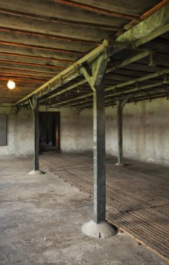 Lublin 'deki Majdanek toplama kampında duş. Polonya