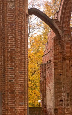 Tartu 'daki Toome Hill' deki Dorpat Katedrali. Estonya