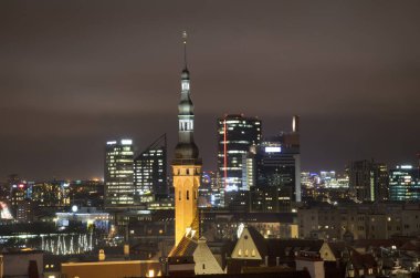 Tallinn 'deki belediye binasında. Estonya