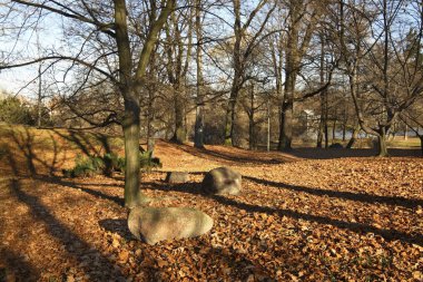 Brzeg 'e park et. Opole Voyvodalığı. Polonya