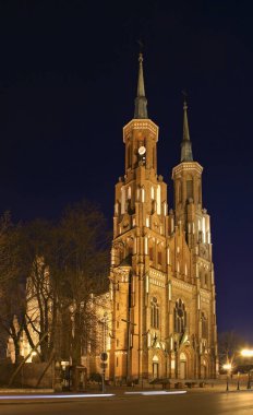 Siedlce 'deki Kutsal Bakire Meryem' in Kusursuz Gebeliği Katedrali. Polonya