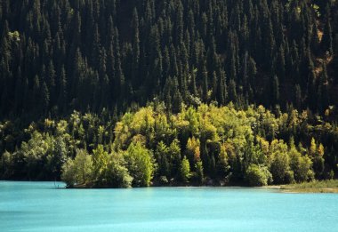 Issyk Gölü manzarası. Kazakistan