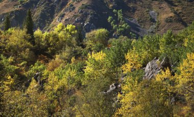 Issyk Kanyonu manzarası. Kazakistan