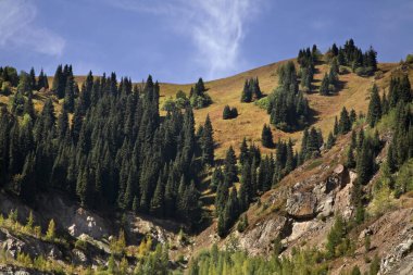 Medeo Vadisi manzarası. Kazakistan 