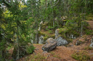 Monrepos parkının manzarası. Vyborg kasabası. Rusya