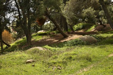 Durres 'teki sığınaklar. Arnavutluk